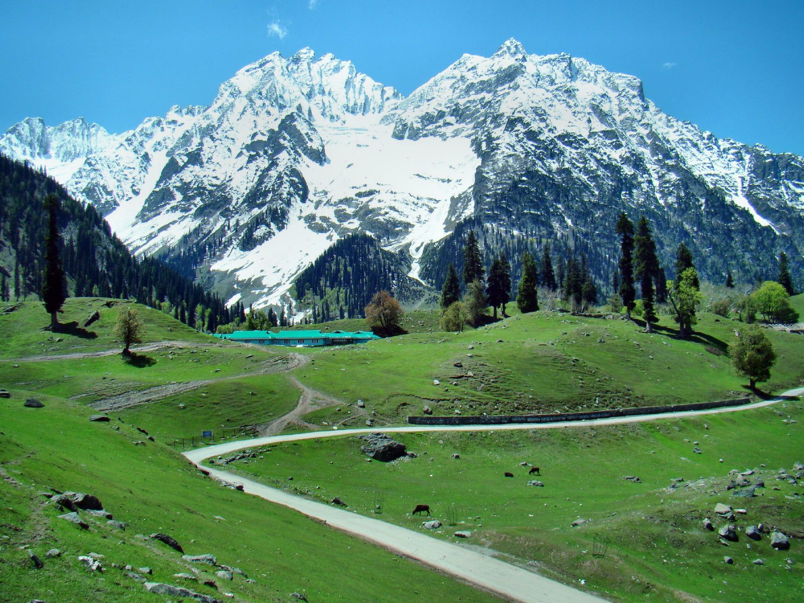 Shimla Manali Chandigarh -7 Days