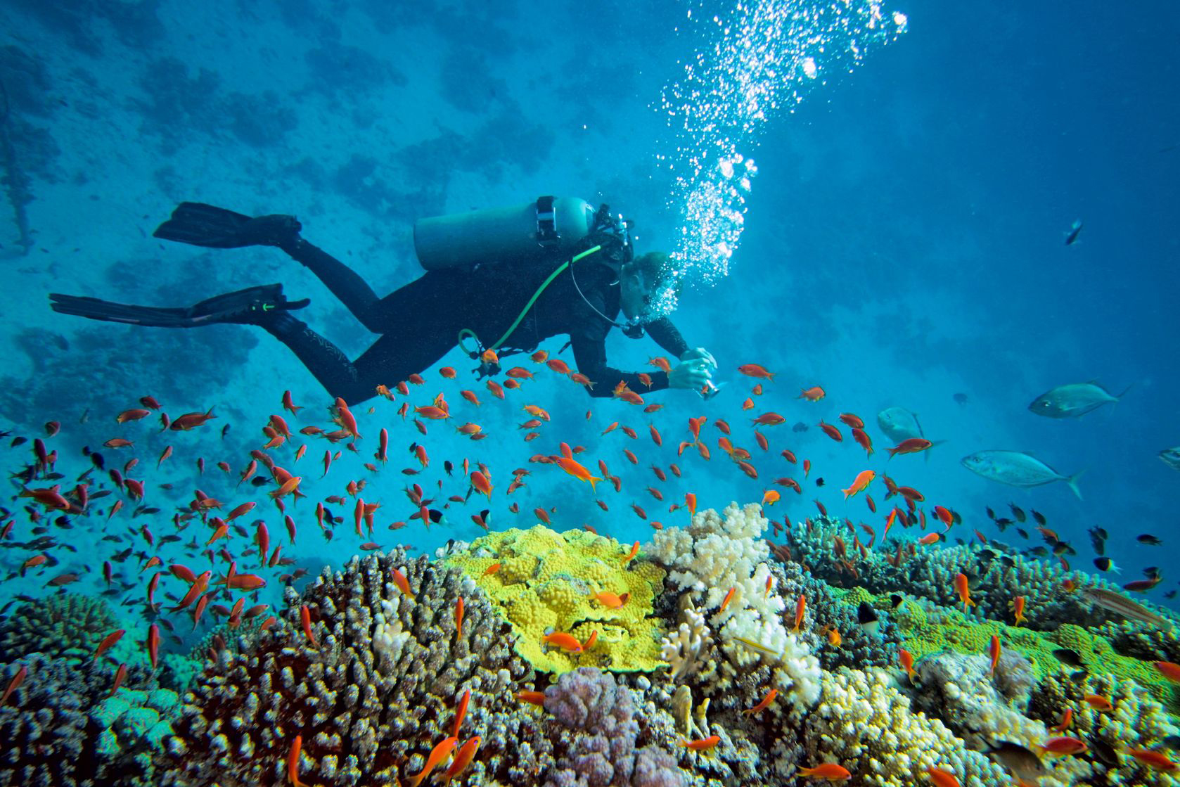 Andaman Tour - 6 Days  