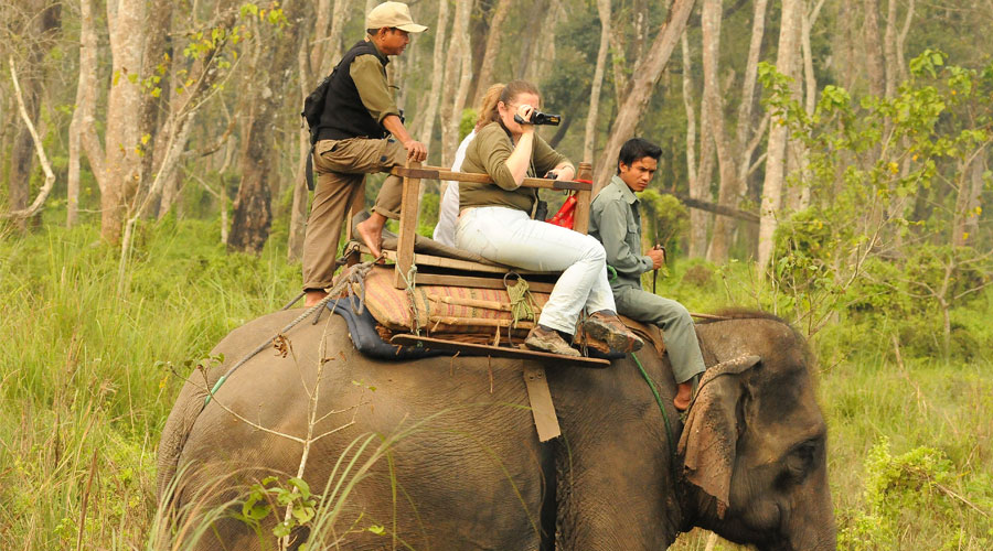Nepal Wildlife Safari Tour